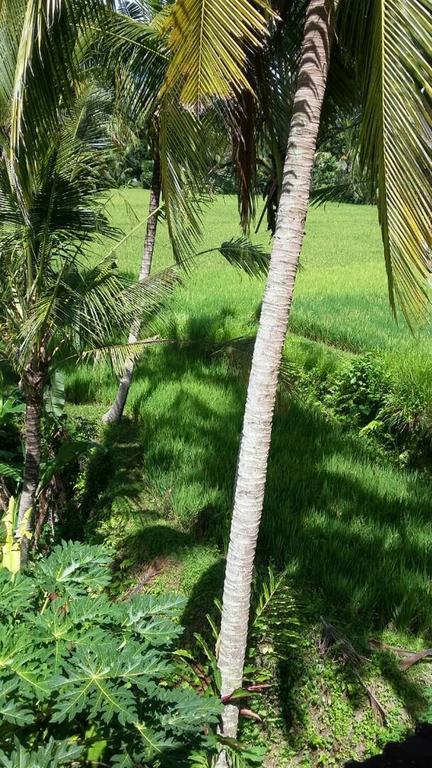 Kishi-Kishi Ubud Villas Dış mekan fotoğraf