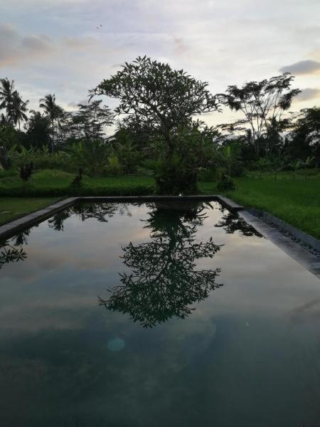 Kishi-Kishi Ubud Villas Dış mekan fotoğraf